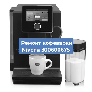 Чистка кофемашины Nivona 300600675 от кофейных масел в Ростове-на-Дону